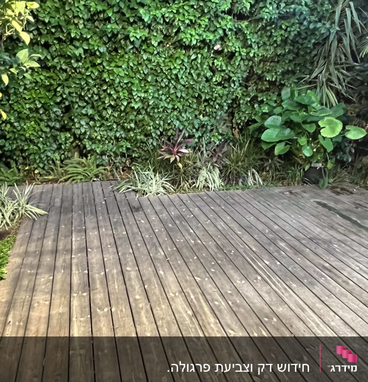 דק עץ בגינה עם צמחייה ירוקה מסביב